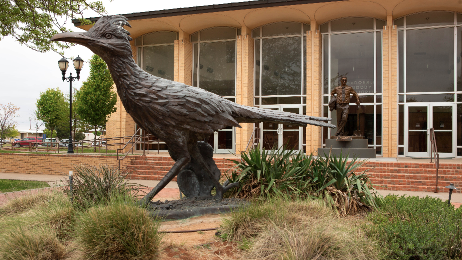 Chaparral statue in front of the McDonald Moody Auditorium